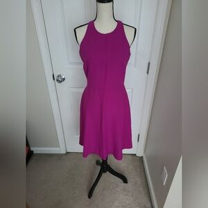 NWOT Banana Republic Tall Vibrant Pink Midi Dress